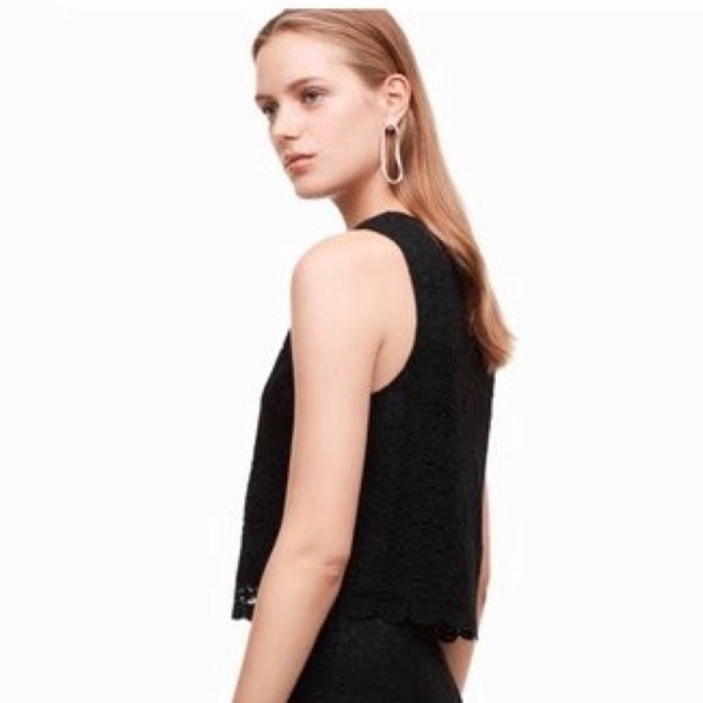 Aritzia | Babaton | Koen Lace Cropped Blouse Size S